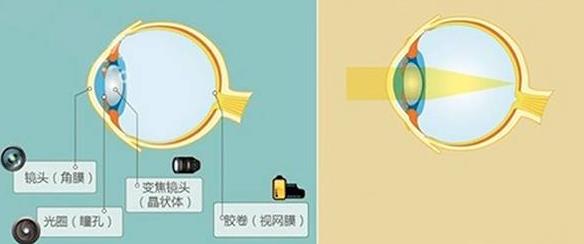 怎么佩戴老花鏡？驗光 品牌 質(zhì)量 保養(yǎng)一個都不能少