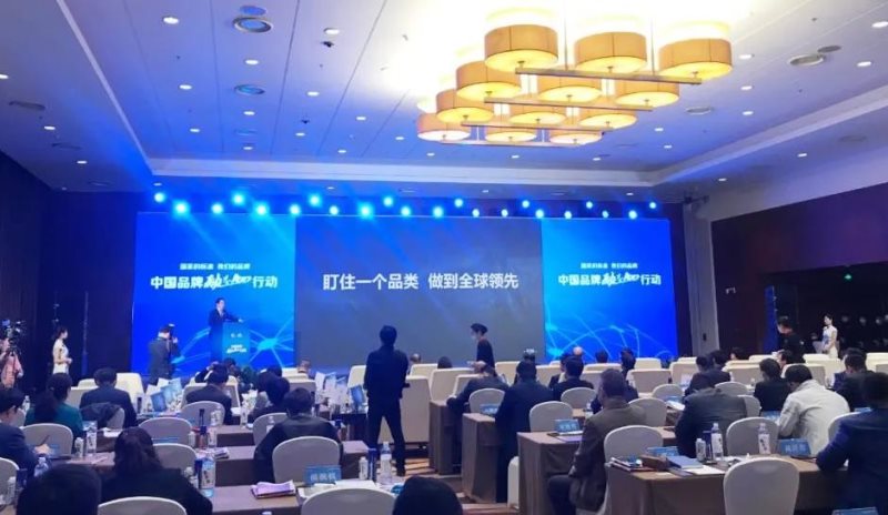 定了！美麗島進了國家隊，新華社專訪